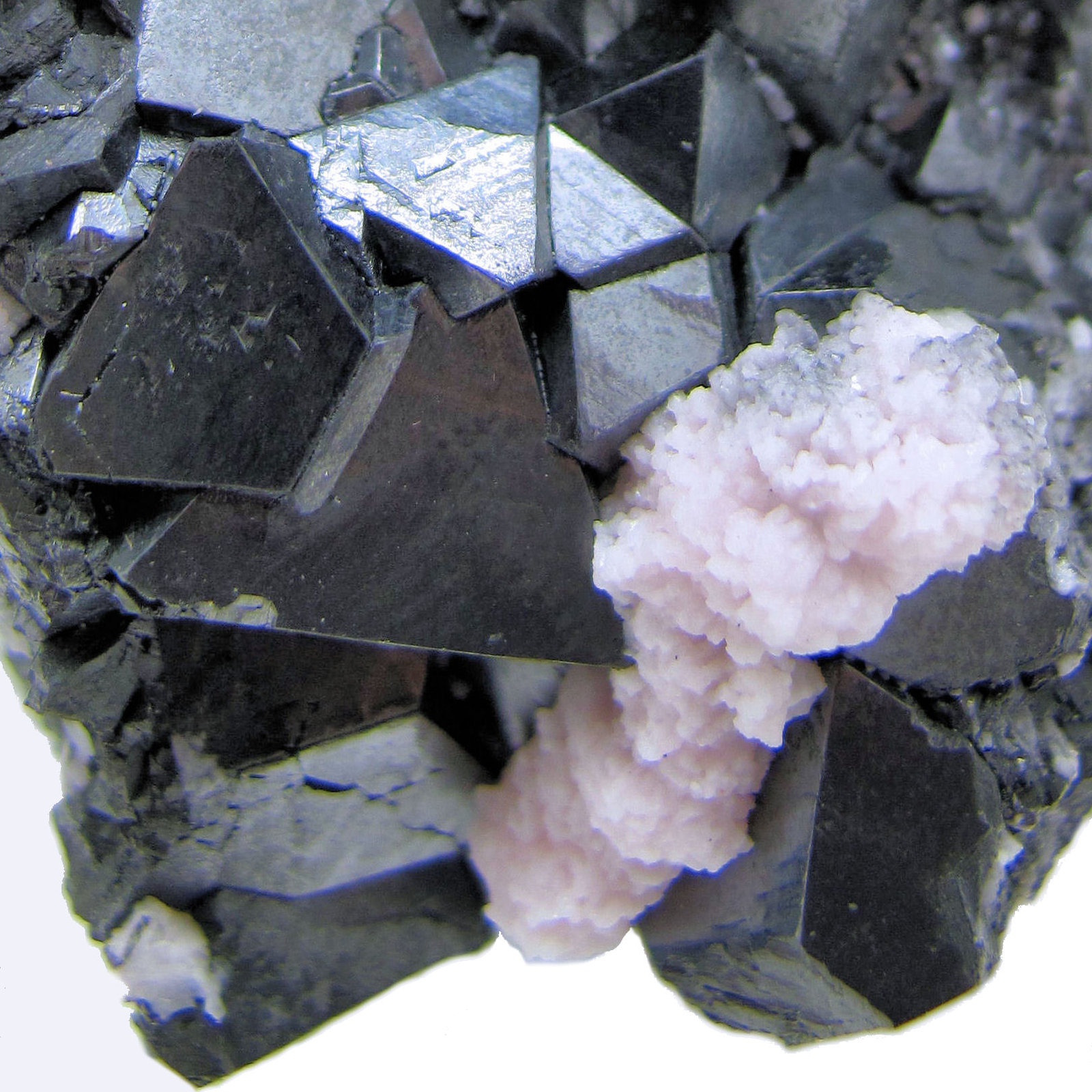 Alabandite, Rhodochrosite, Fluorite
79 mm x 40 mm x 37 mm Largest crystal size: 18 mm Mass: 222 g
(Autor: Carles Millan)