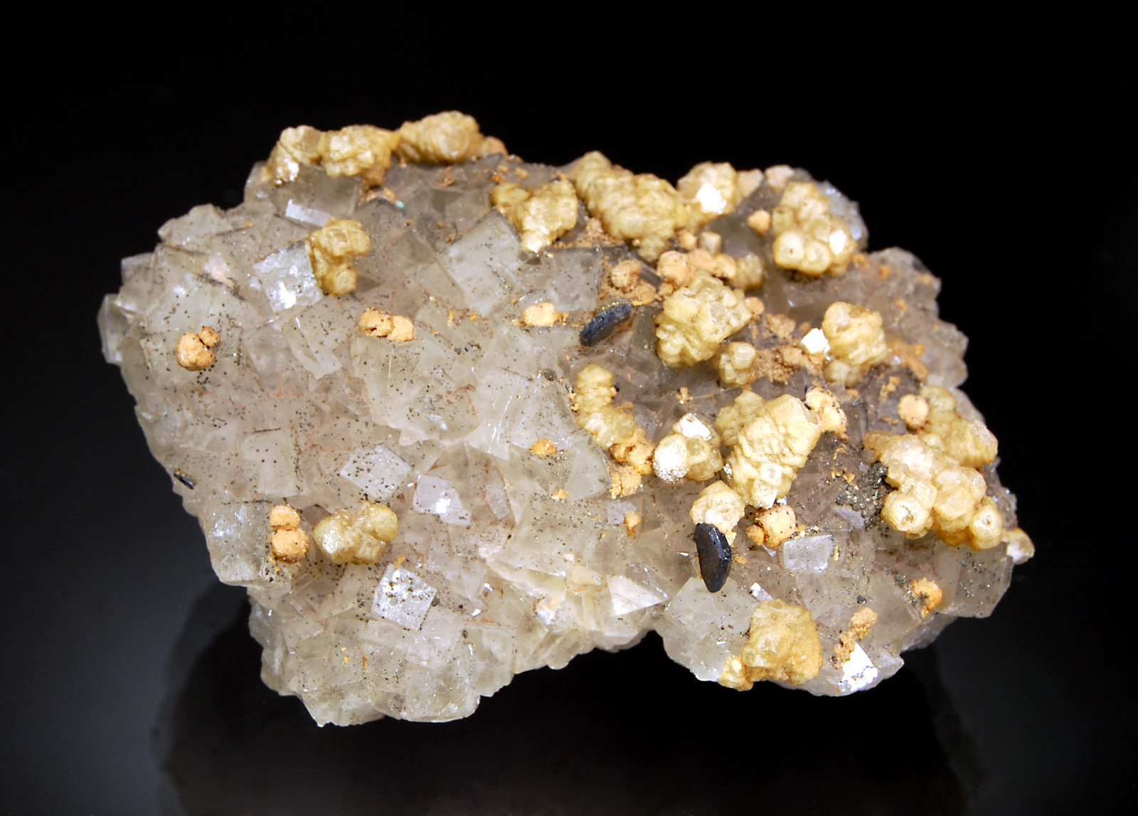 Siderite and Galena on Fluorite
4.0 x 7.0 cm
(Autor: Michael Shaw)