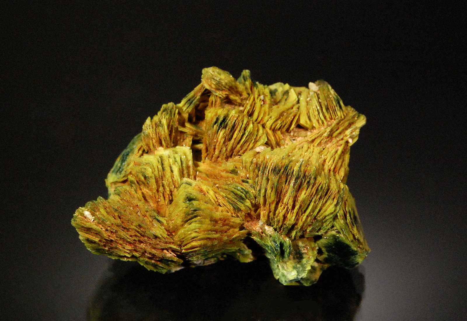 Autunite
5.1 x 3.5 cm
(Autor: Michael Shaw)