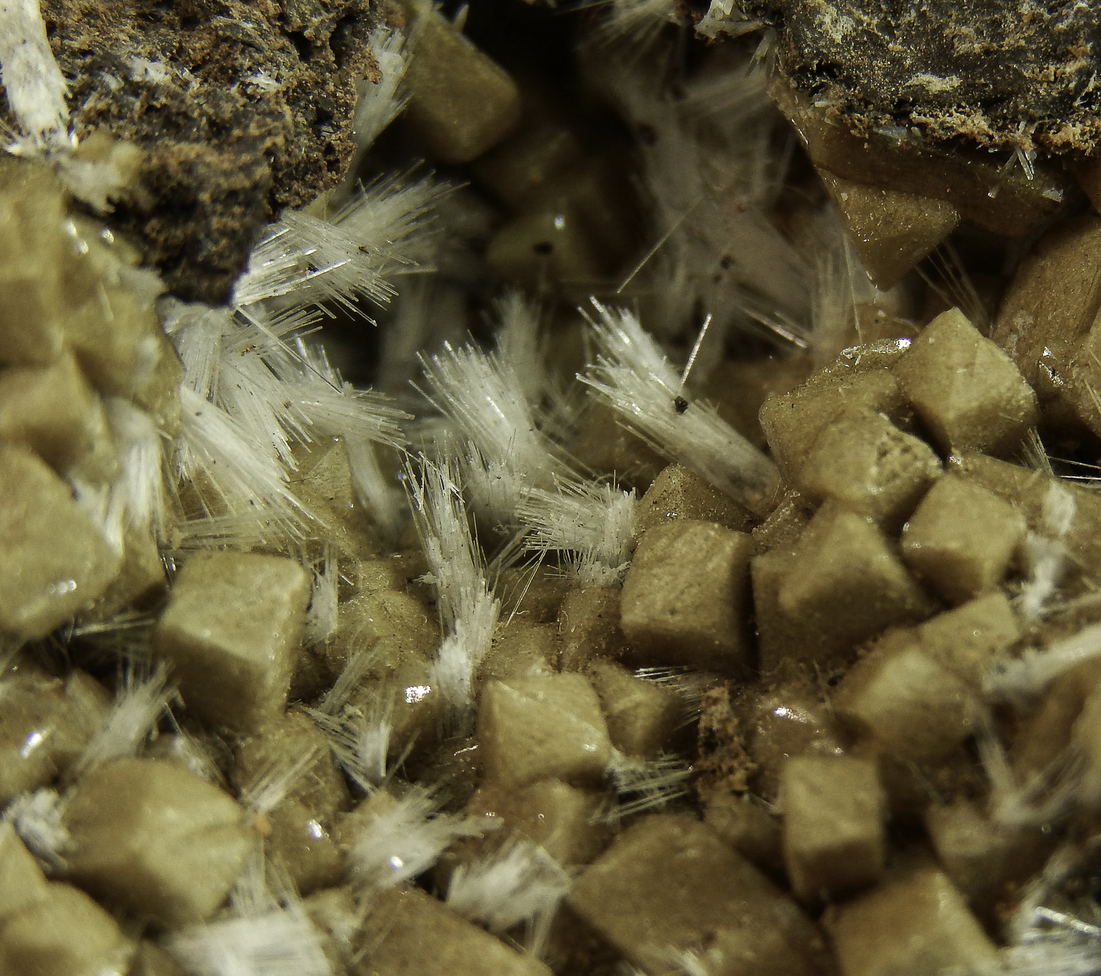 Olmiite with Bultfonteinite
100 x 40 x 20 mm
(Autor: Rob Schnerr)