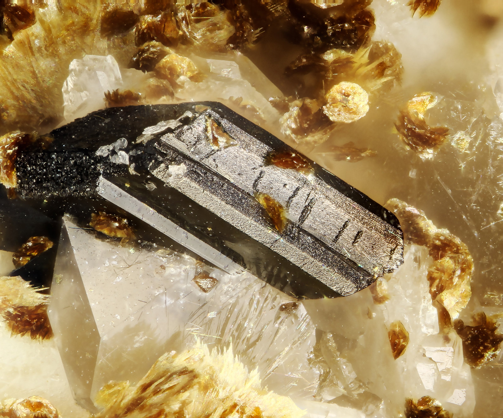 Allanite-(Ce)
FOV = 0.9 mm
(Autor: Doug)