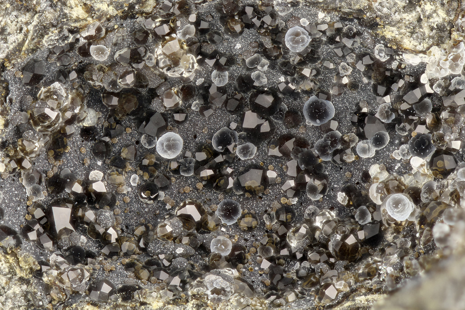 Analcime, Thomsonite
FOV = 3.6 mm
(Autor: Doug)