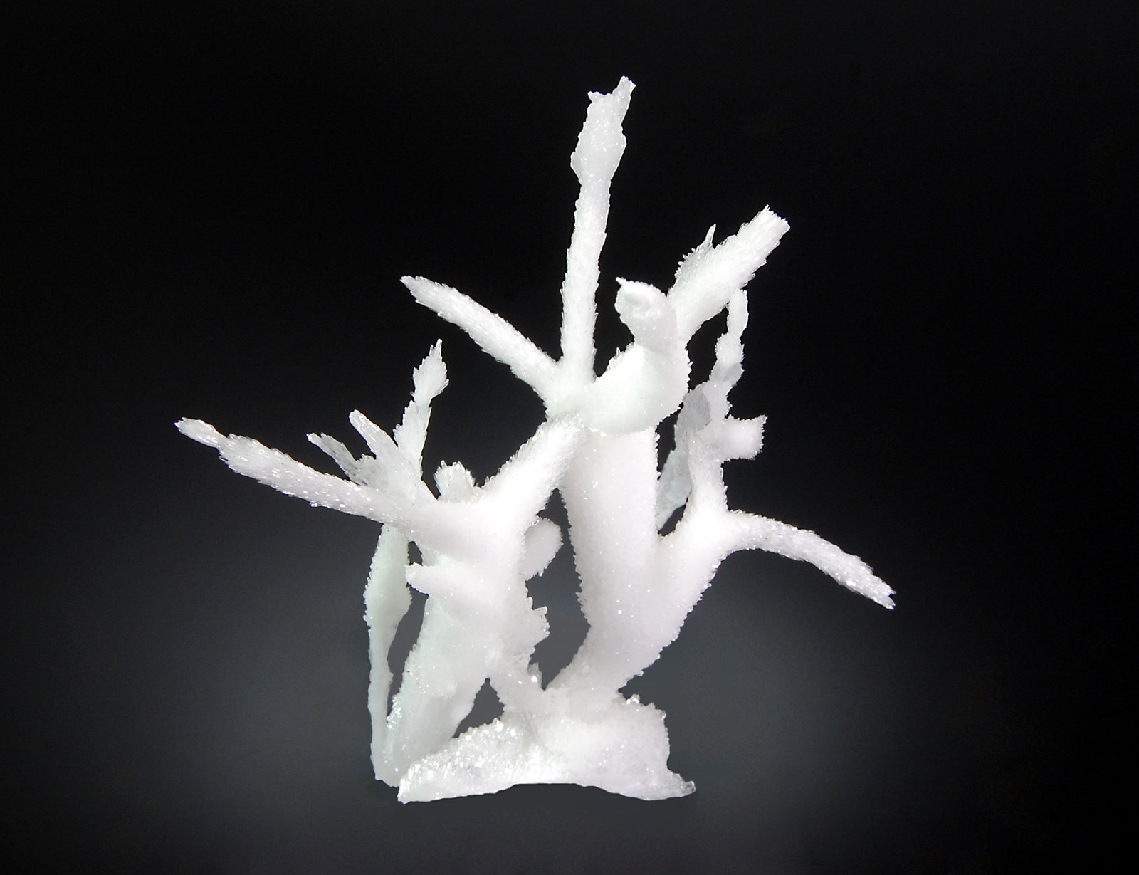 Aragonite
6.7 x 8.6 cm
(Autor: Michael Shaw)