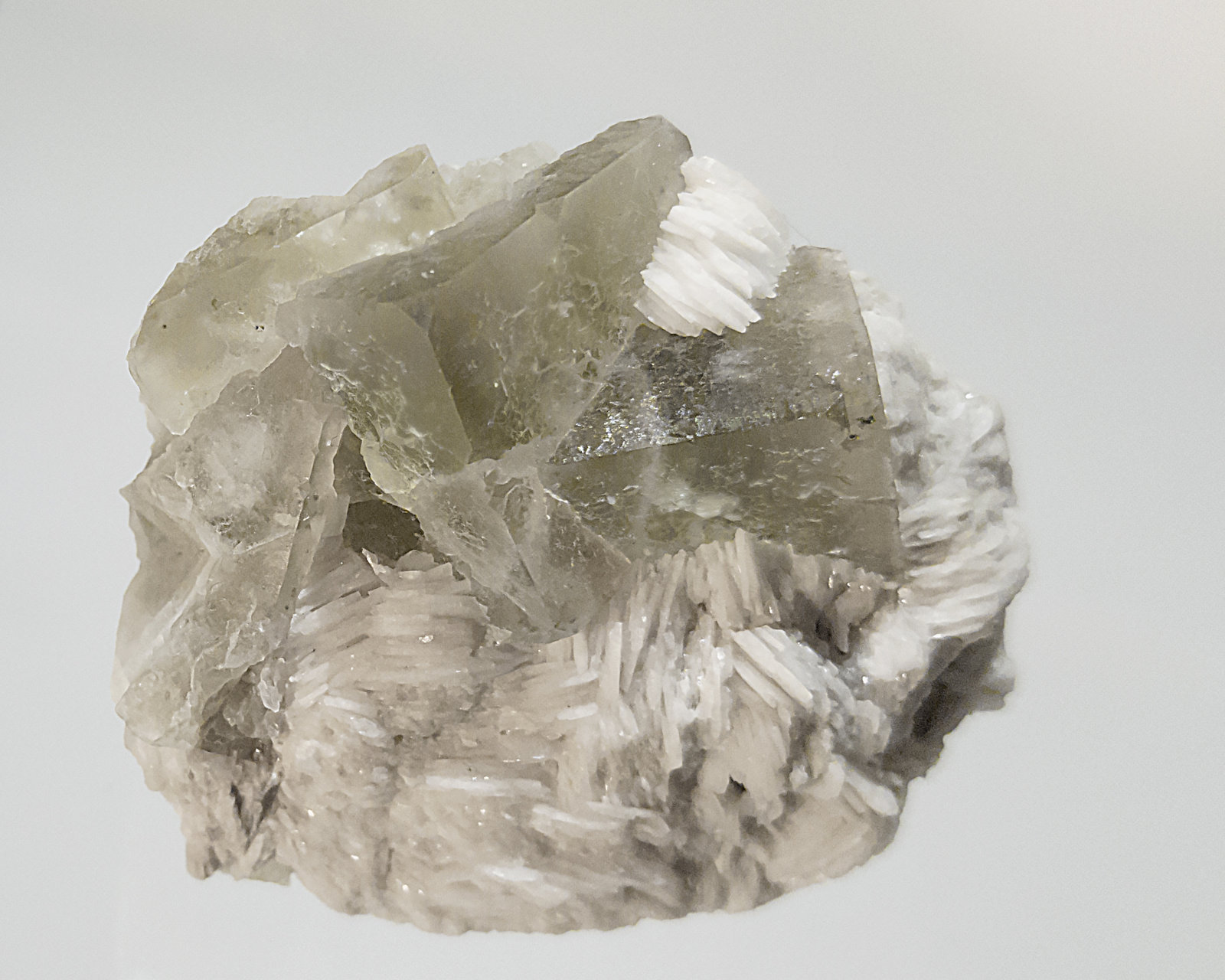 Fluorite, Baryte
4.5 X 3.5 cm
(Autor: Richard Arseneau)
