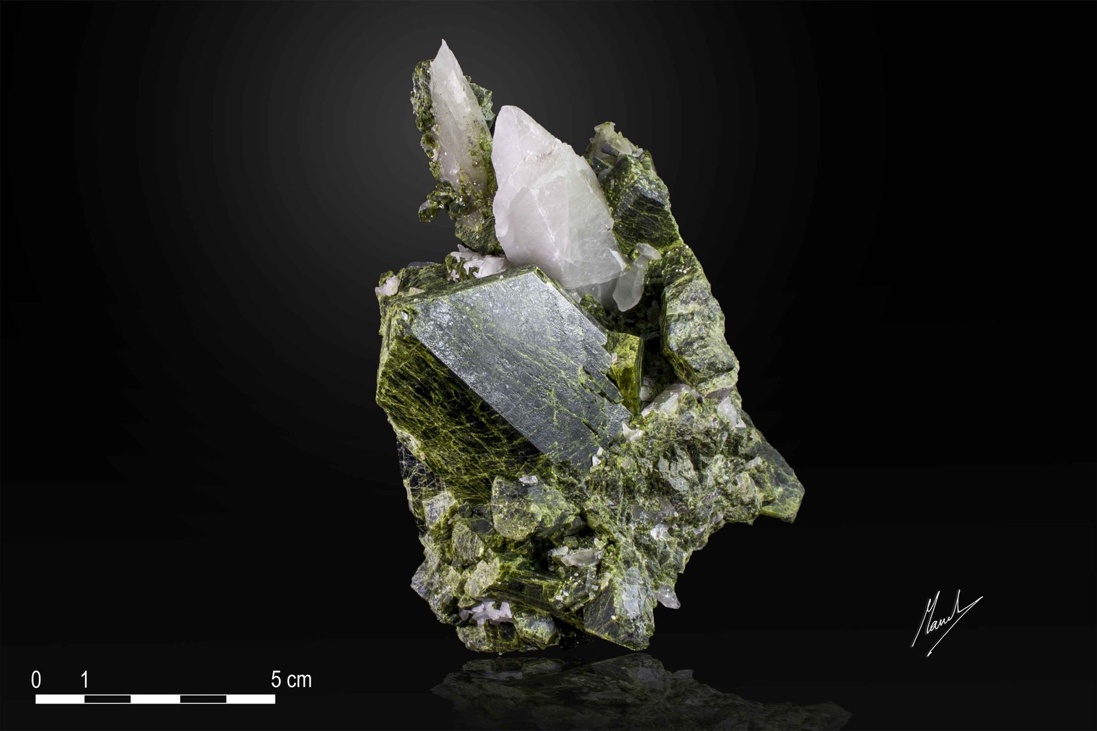 Epidote and Quartz
135 X 85 mm
(Autor: Manuel Mesa)