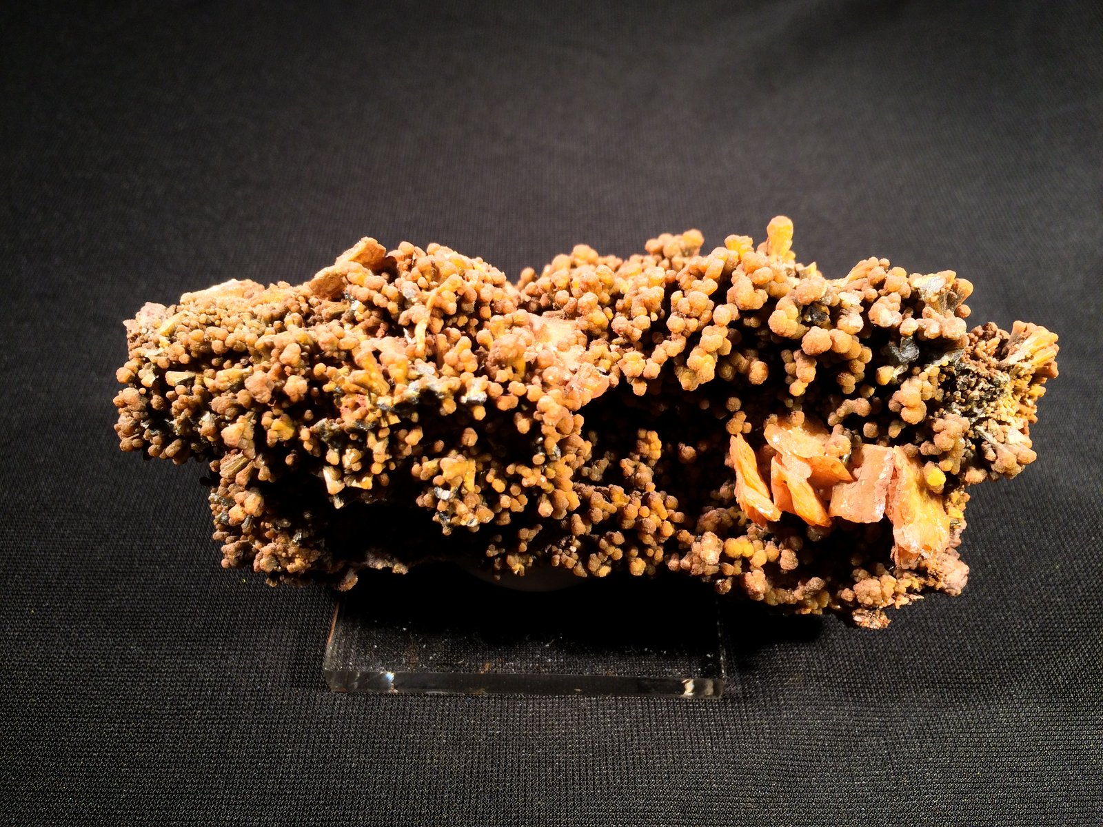 Mimetite, Wulfenite
115 mm x 60 mm x 45 mm
(Autor: Robert Seitz)