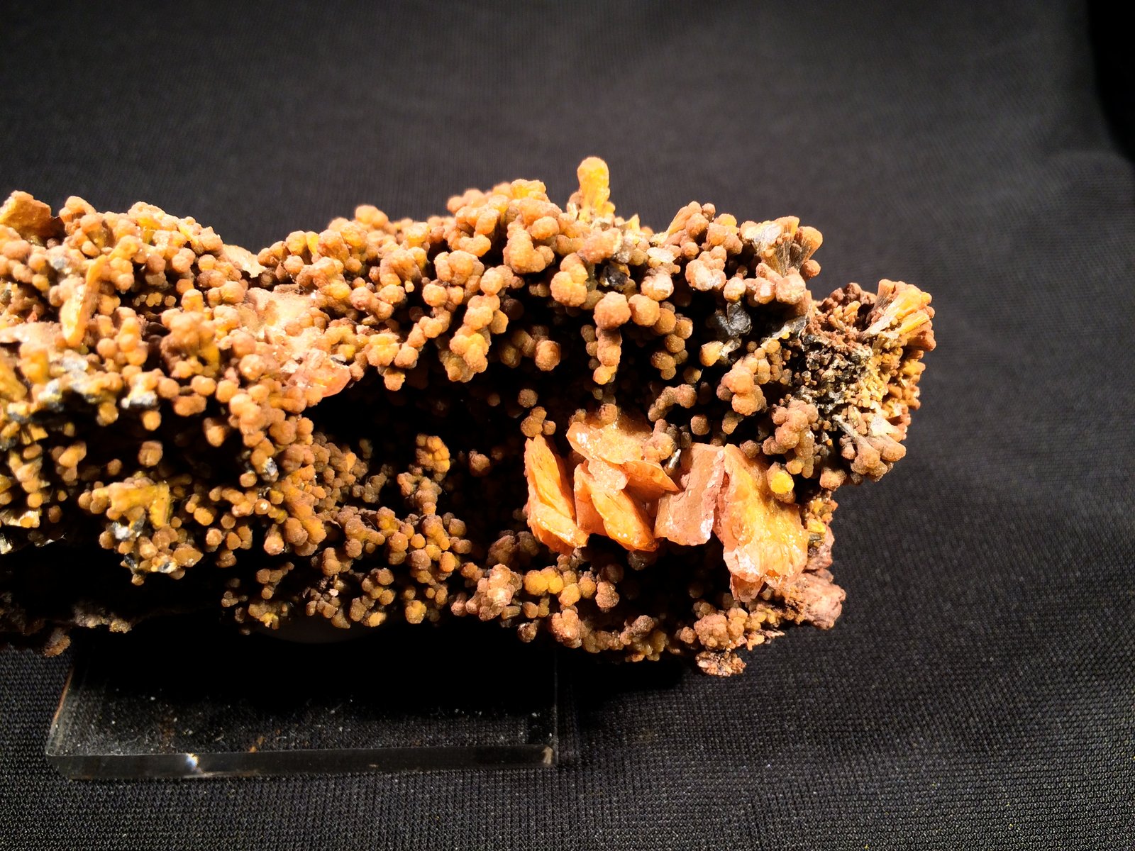Mimetite, Wulfenite
115 mm x 60 mm x 45 mm
(Autor: Robert Seitz)