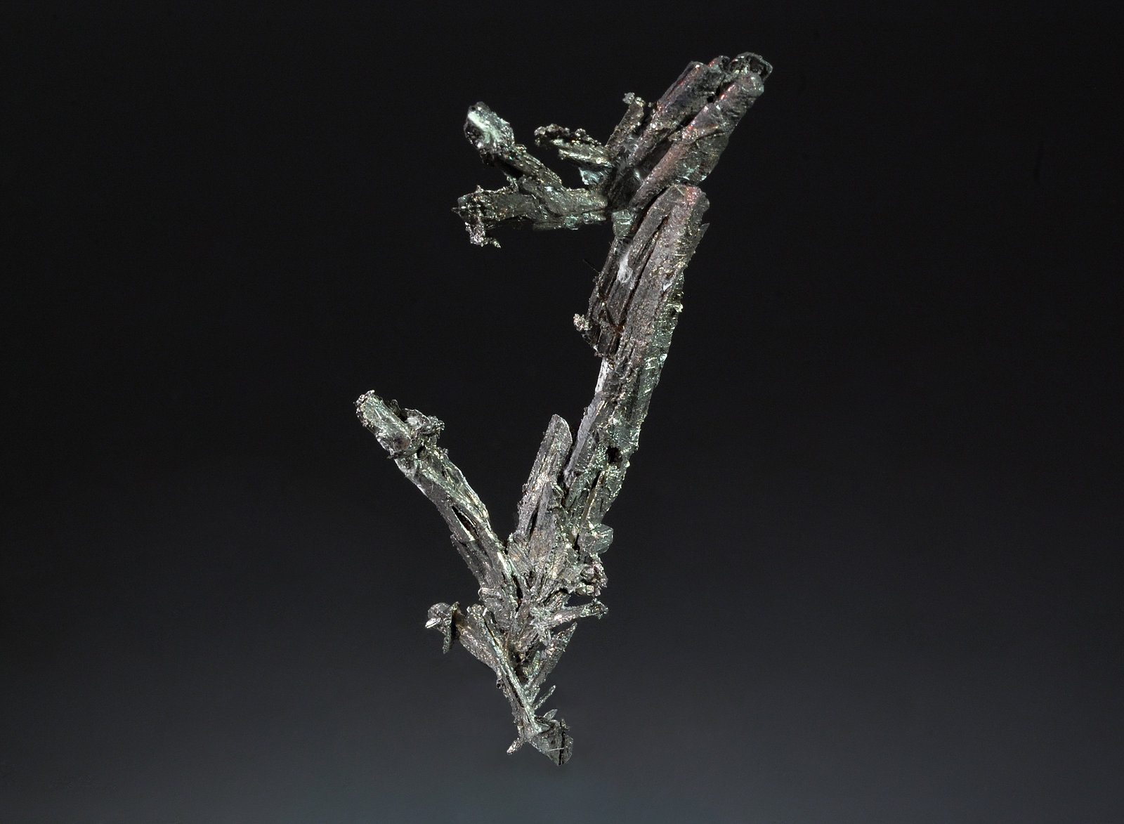 Dyscrasite after Allargentum and with Silver
2.5 x 5.9 cm
(Autor: Michael Shaw)