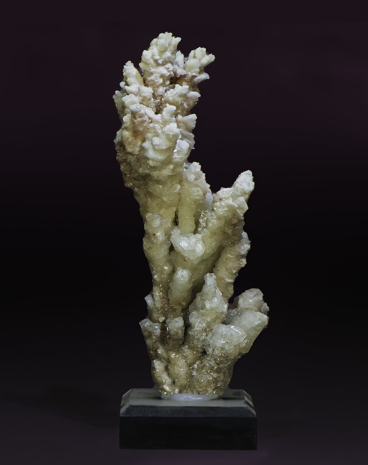 Aragonite
166 x 60 x 45 mm
(Autor: Rob Schnerr)
