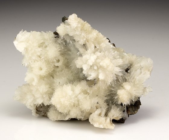 Aragonite
7.0cm x 5.0cm
(Autor: rweaver)