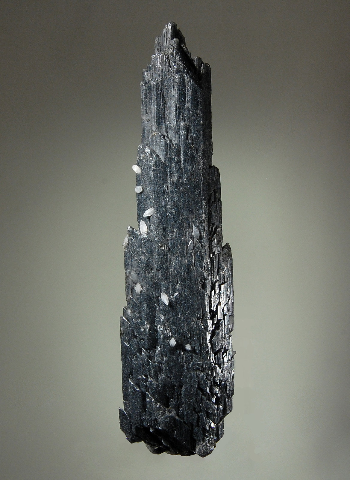 Gypsum
2.5 cm x 9.0 cm
(Autor: Michael Shaw)