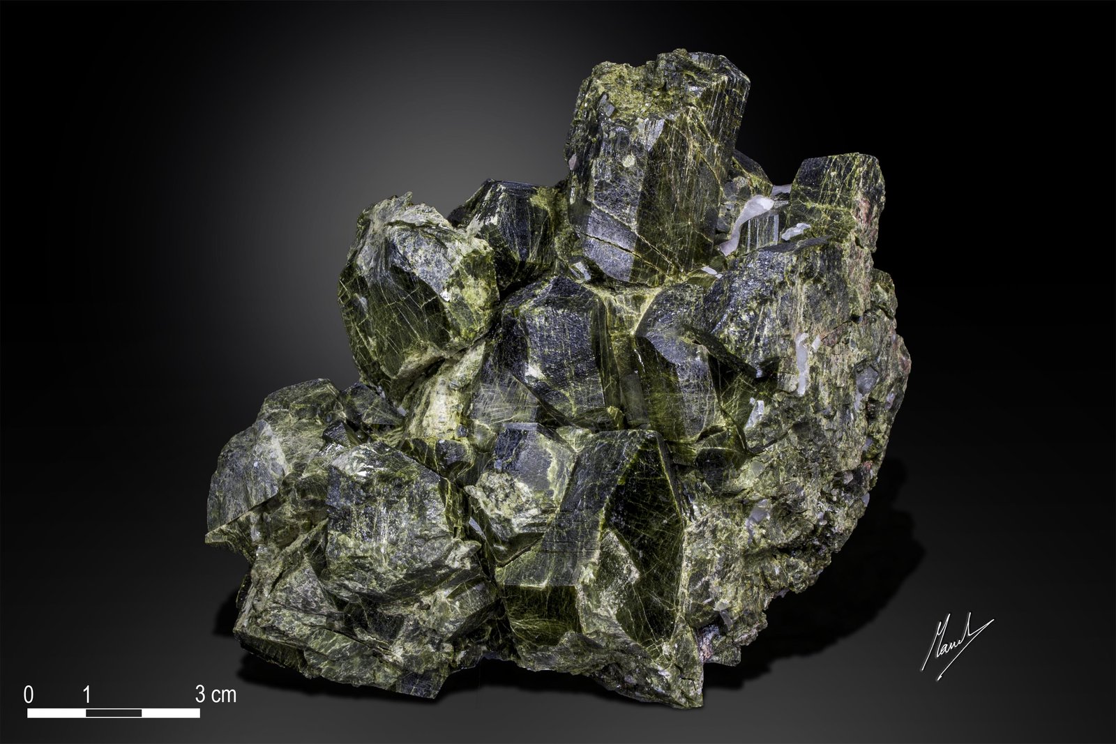 Epidote
119 x 70 mm
(Autor: Manuel Mesa)