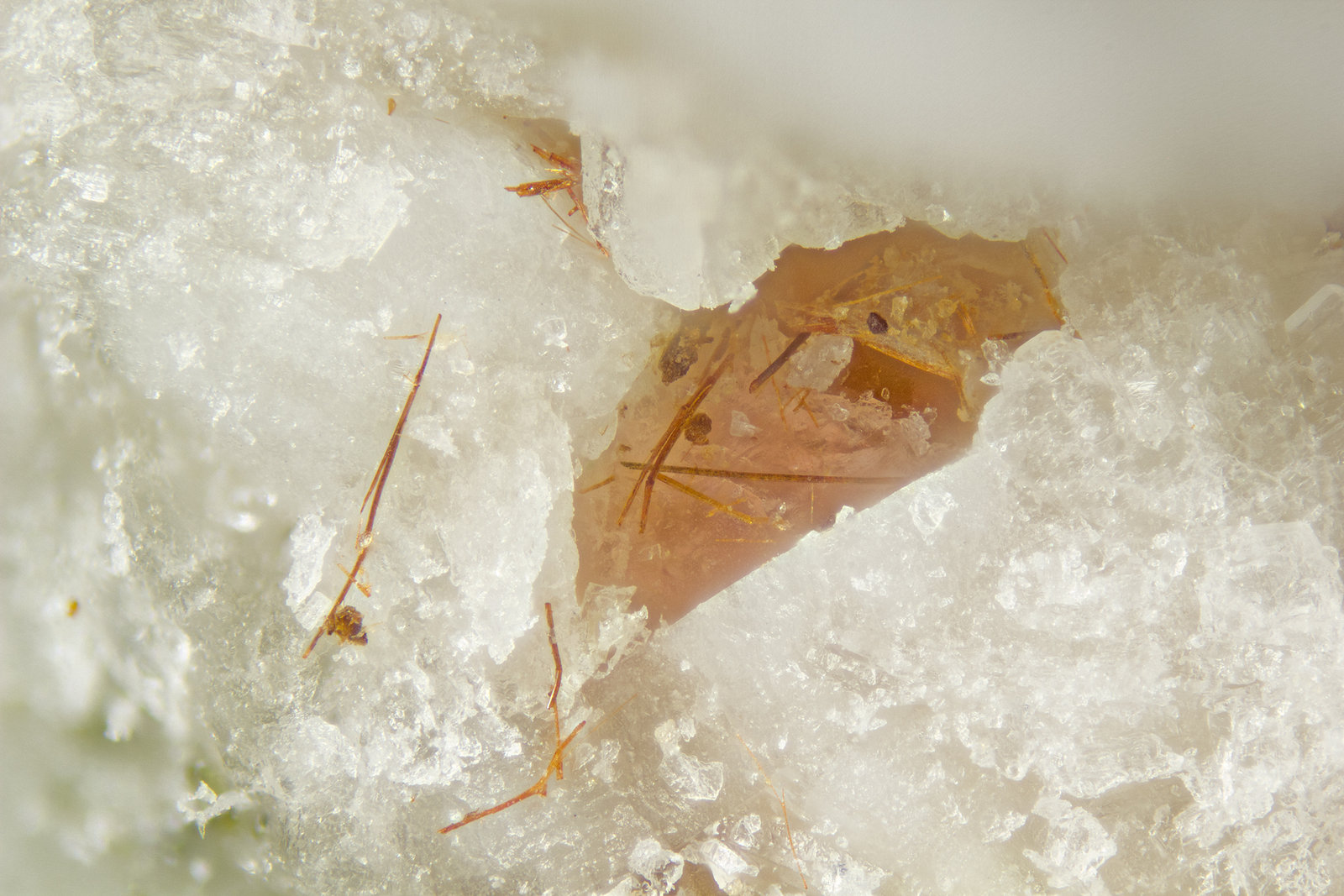 Erdite
FOV = 2mm
(Autor: Doug)
