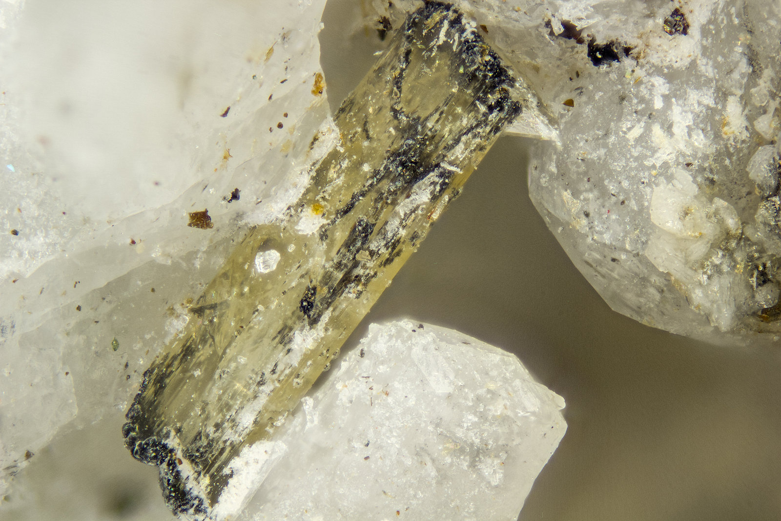 Hiortdahlite
FOV = 2mm
(Autor: Doug)