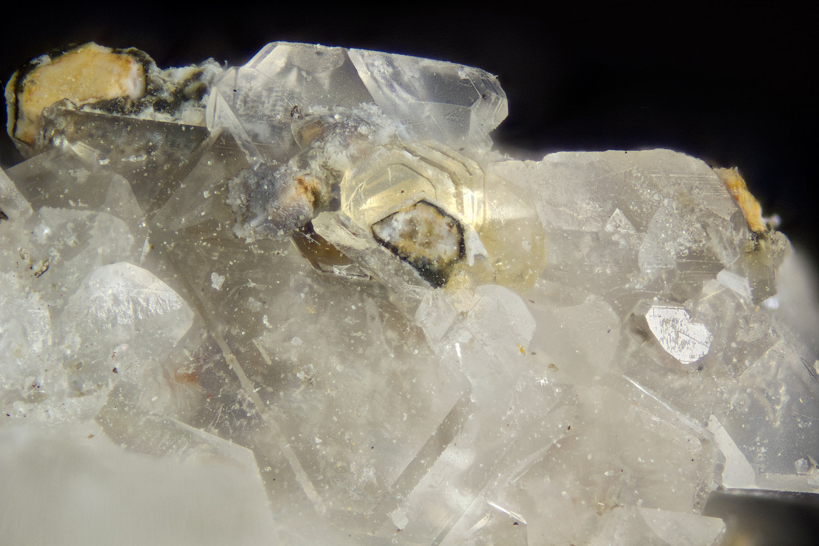 Quintinite<br />{LOCALITAT}