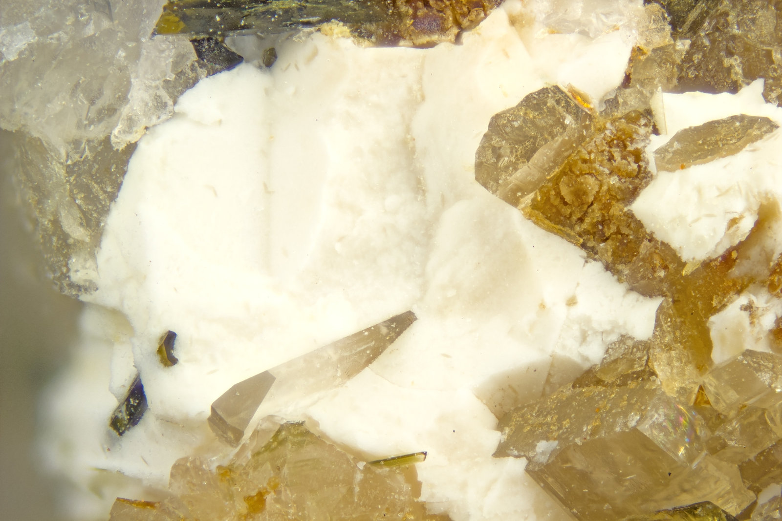 Thermonatrite
FOV = 2mm
(Autor: Doug)