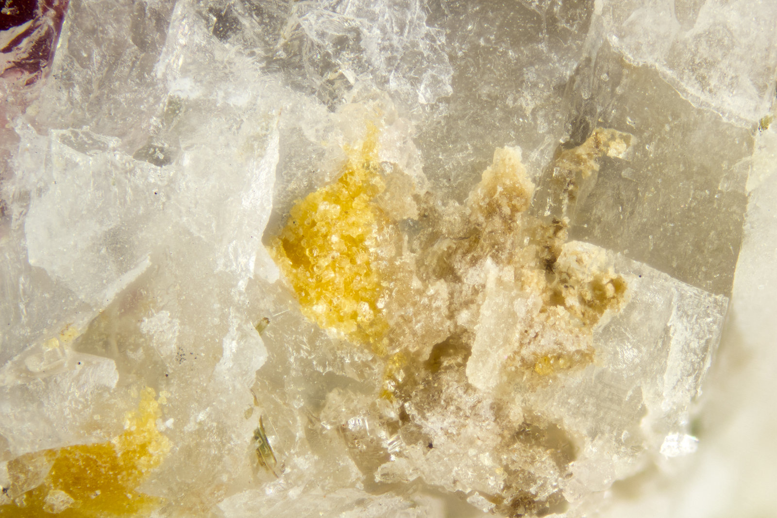 Zakharovite
FOV = 2mm
(Autor: Doug)