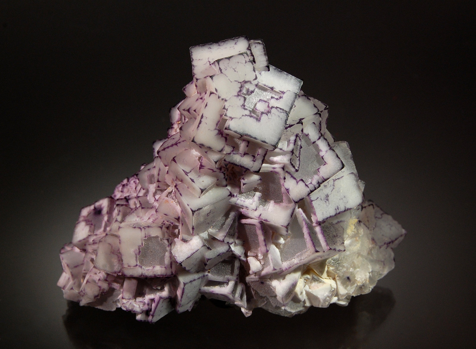 Fluorite
7.5 cm x 9.5 cm
(Autor: Michael Shaw)