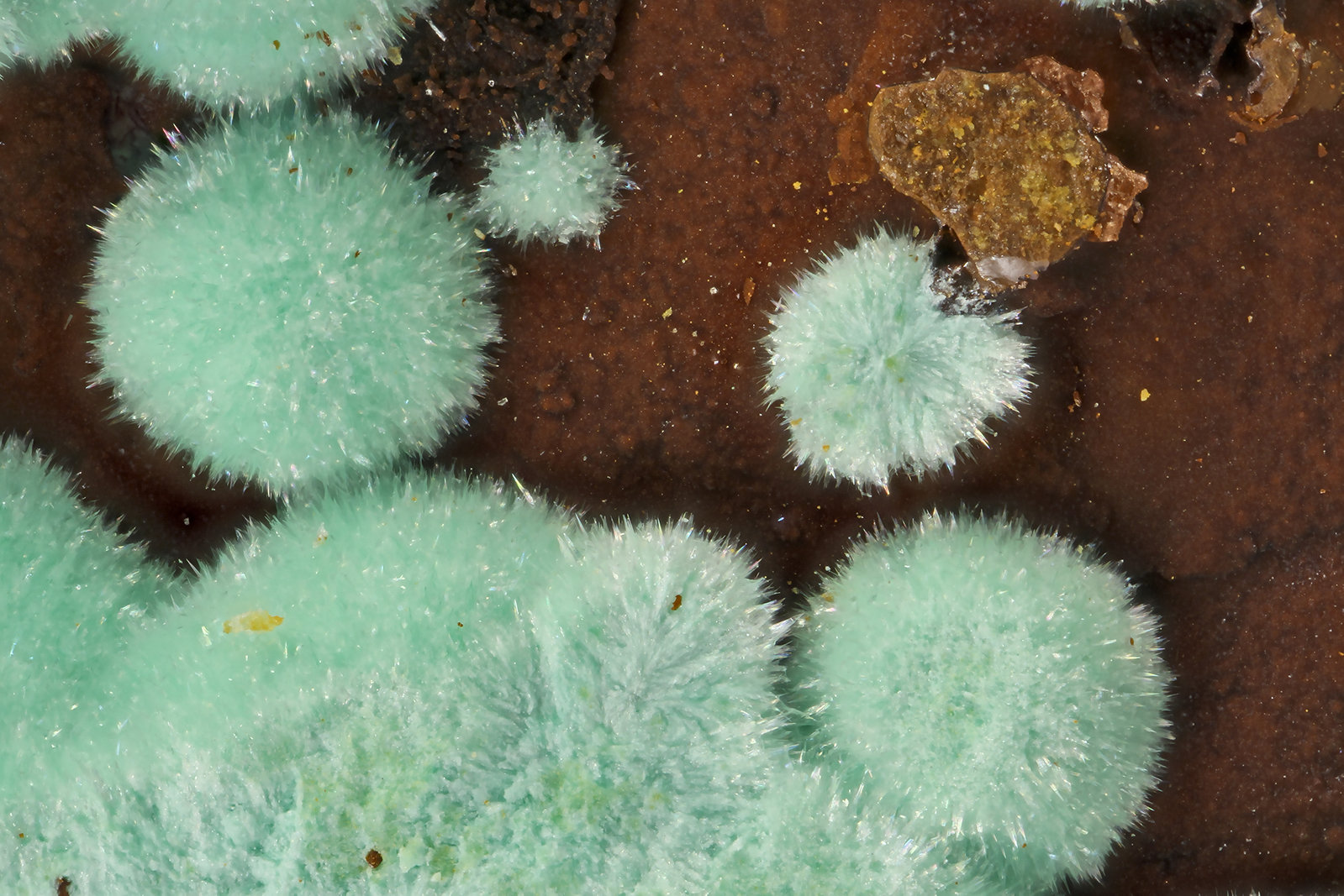 Strashimirite
(Autor: Doug)