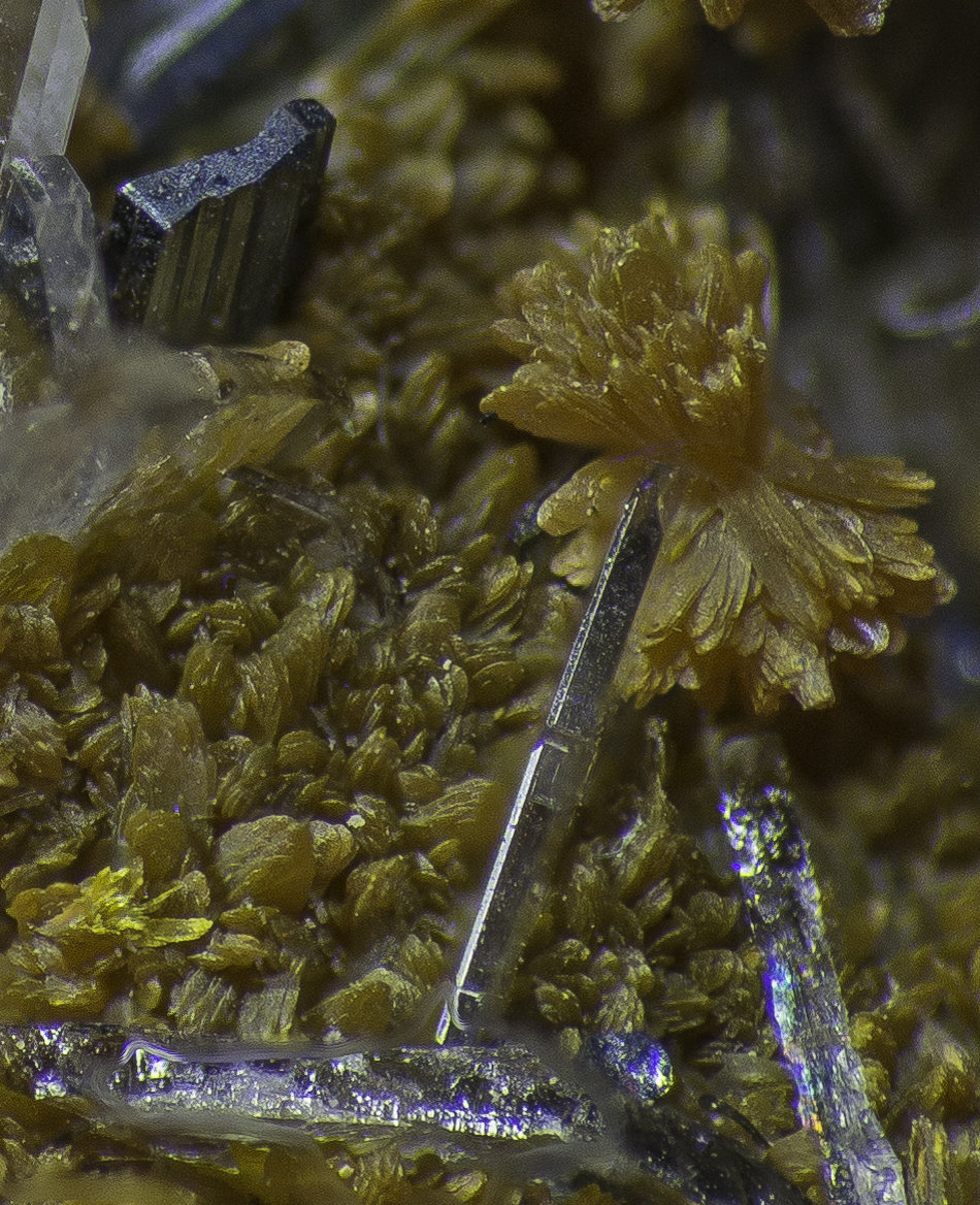 Orpiment, Baryte, Hutchinsonite
FOV appr. 5 mm
(Autor: Rob Schnerr)