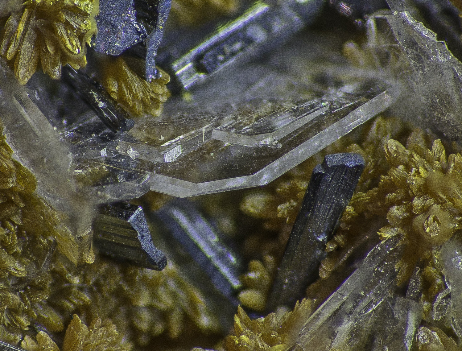Orpiment, Baryte, Hutchinsonite
FOV appr. 5 mm
(Autor: Rob Schnerr)