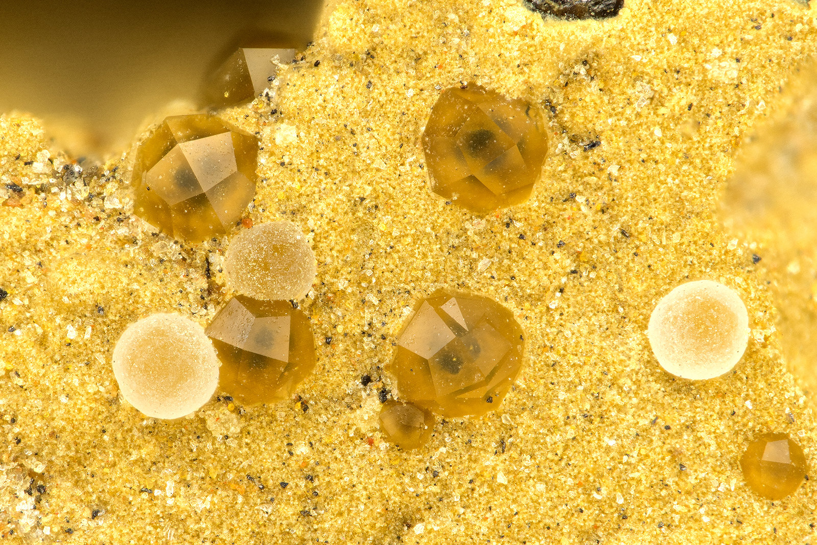 Analcime, Thomsonite
FOV = 1.1 mm
(Autor: Doug)