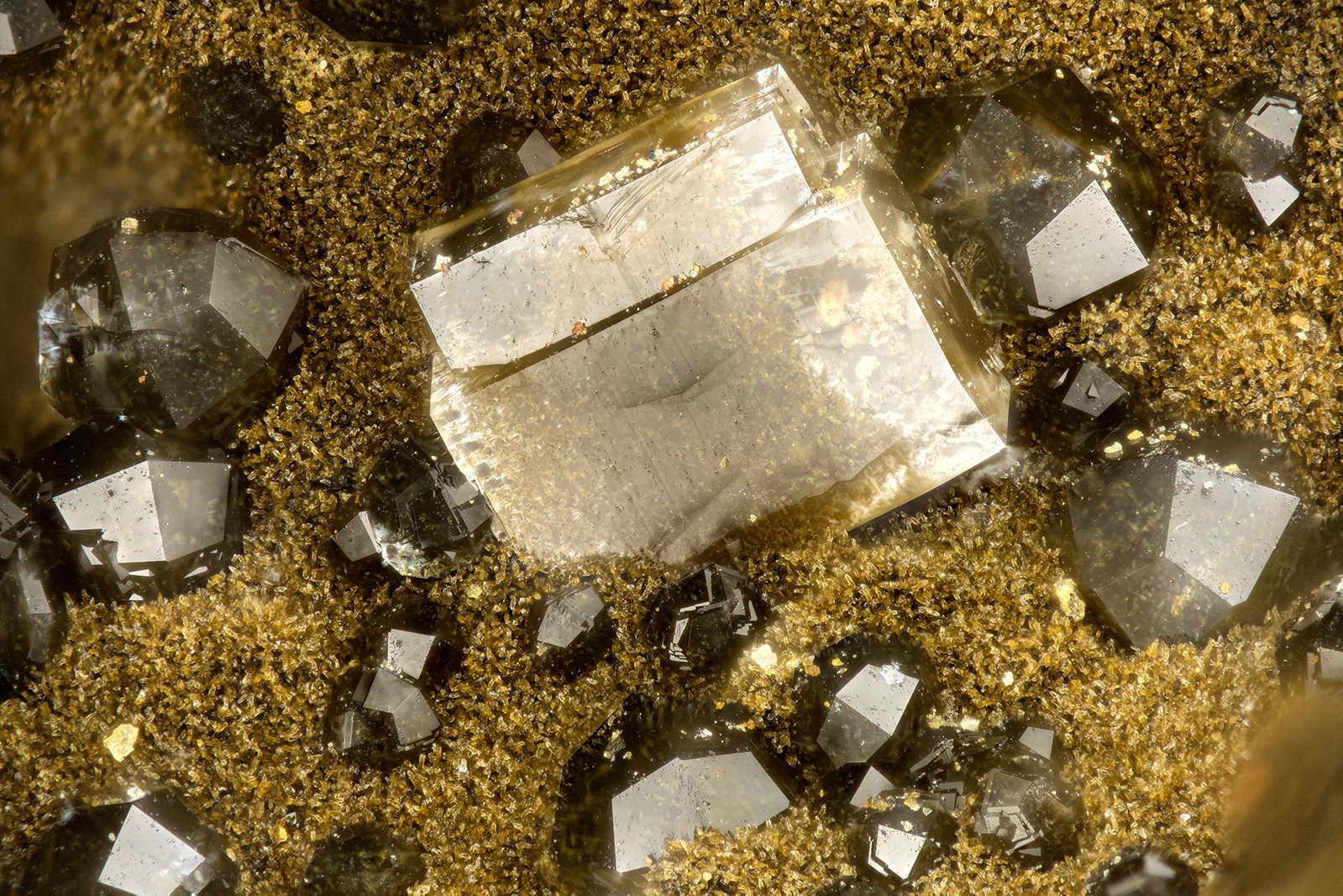 Heulandite, Analcime
FOV = 1.6 mm
(Autor: Doug)