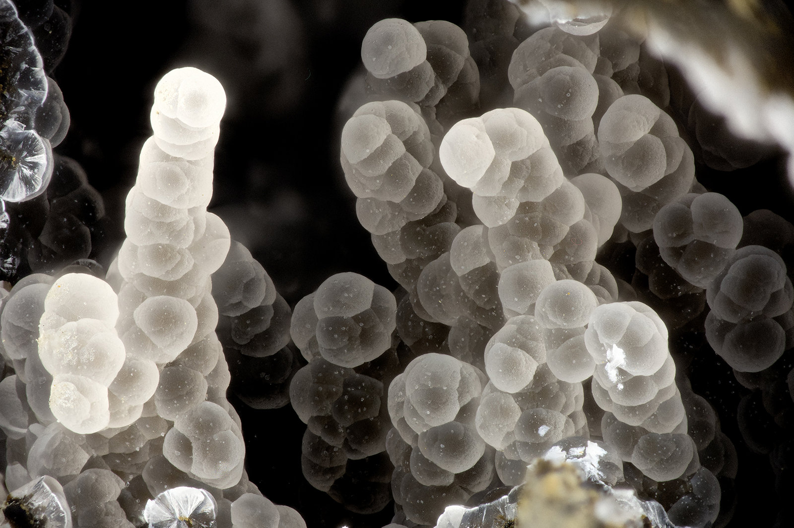 Thomsonite
FOV = 3.6 mm
(Autor: Doug)