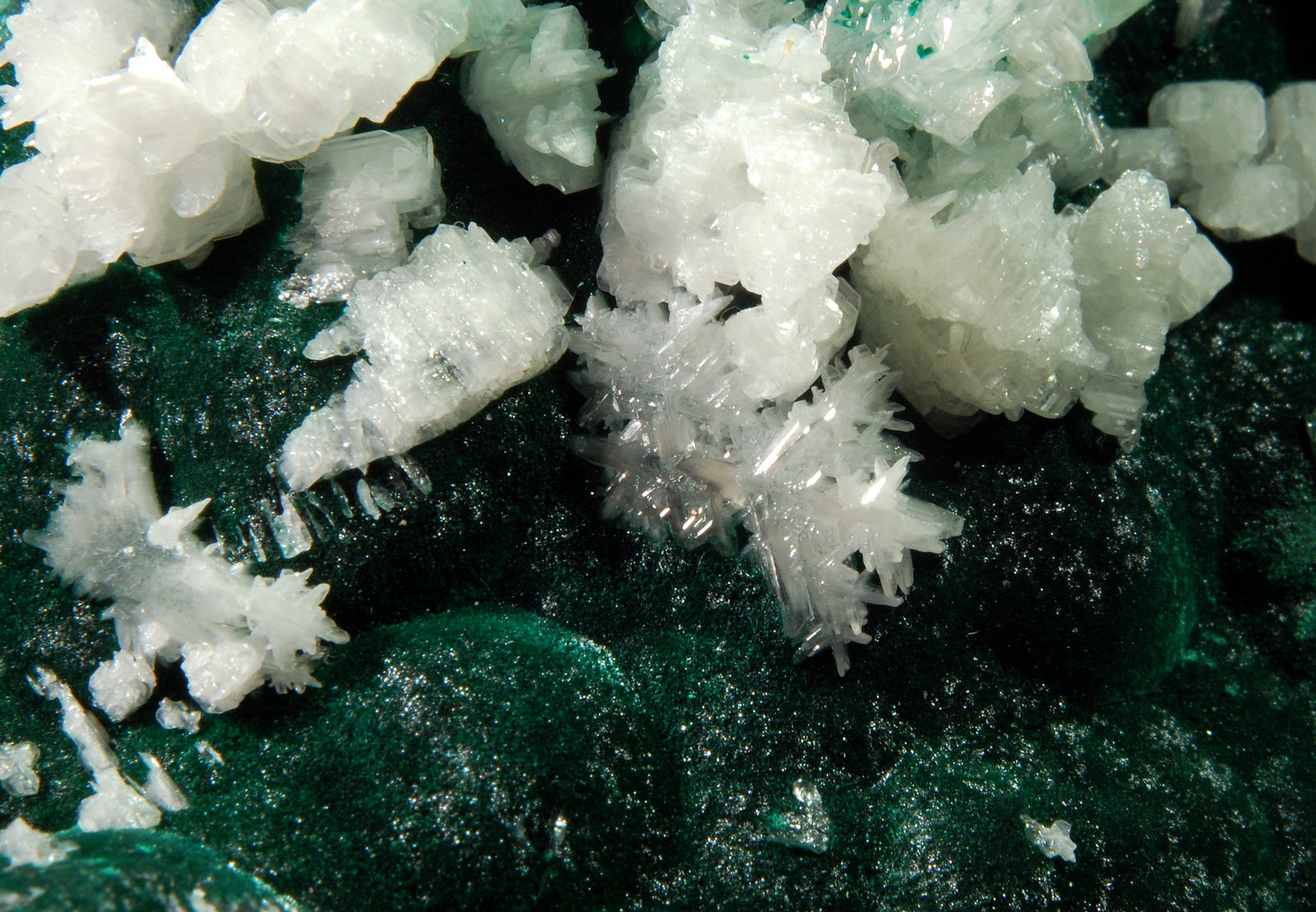 Cerussite on Malachite
5.6 cm x 7.0 cm
(Autor: Michael Shaw)