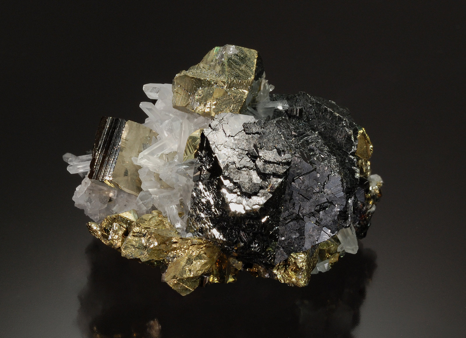 Sphalerite, Chalcopyrite, Pyrite, Quartz
4.0 x 6.0 cm
(Autor: Michael Shaw)