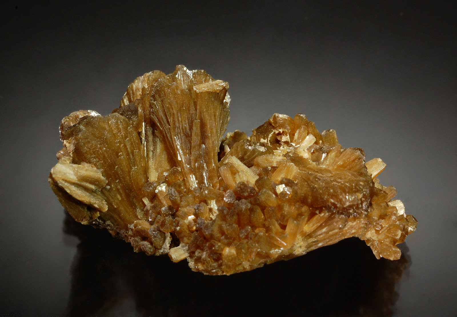 Stilbite
2.5 x 4.3 cm
(Autor: Michael Shaw)
