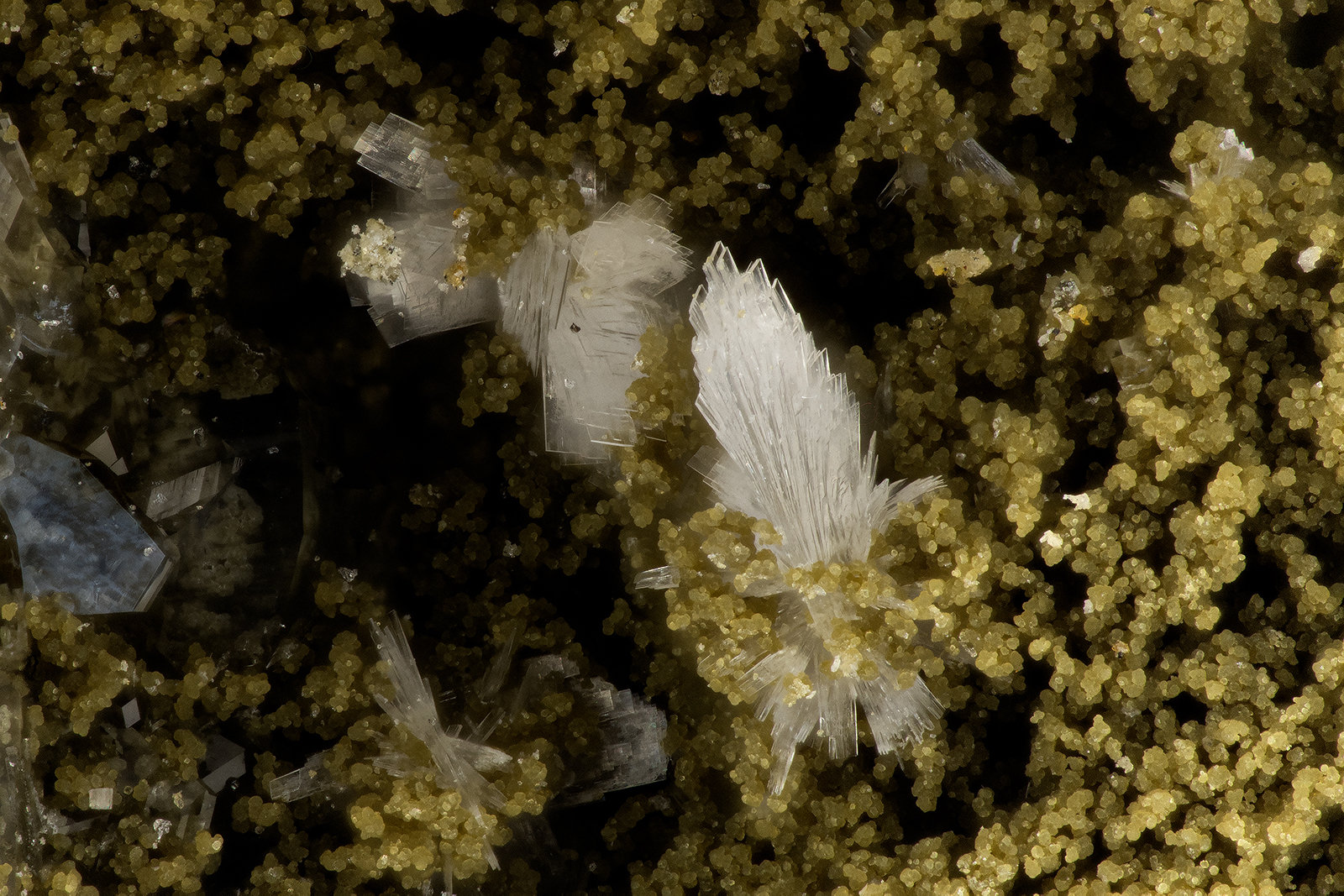 Thomsonite
FOV = 2.9 mm
(Autor: Doug)