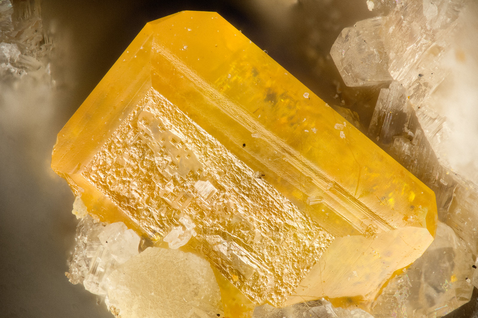 Wulfenite
FOV = 1.8 mm
(Autor: Doug)