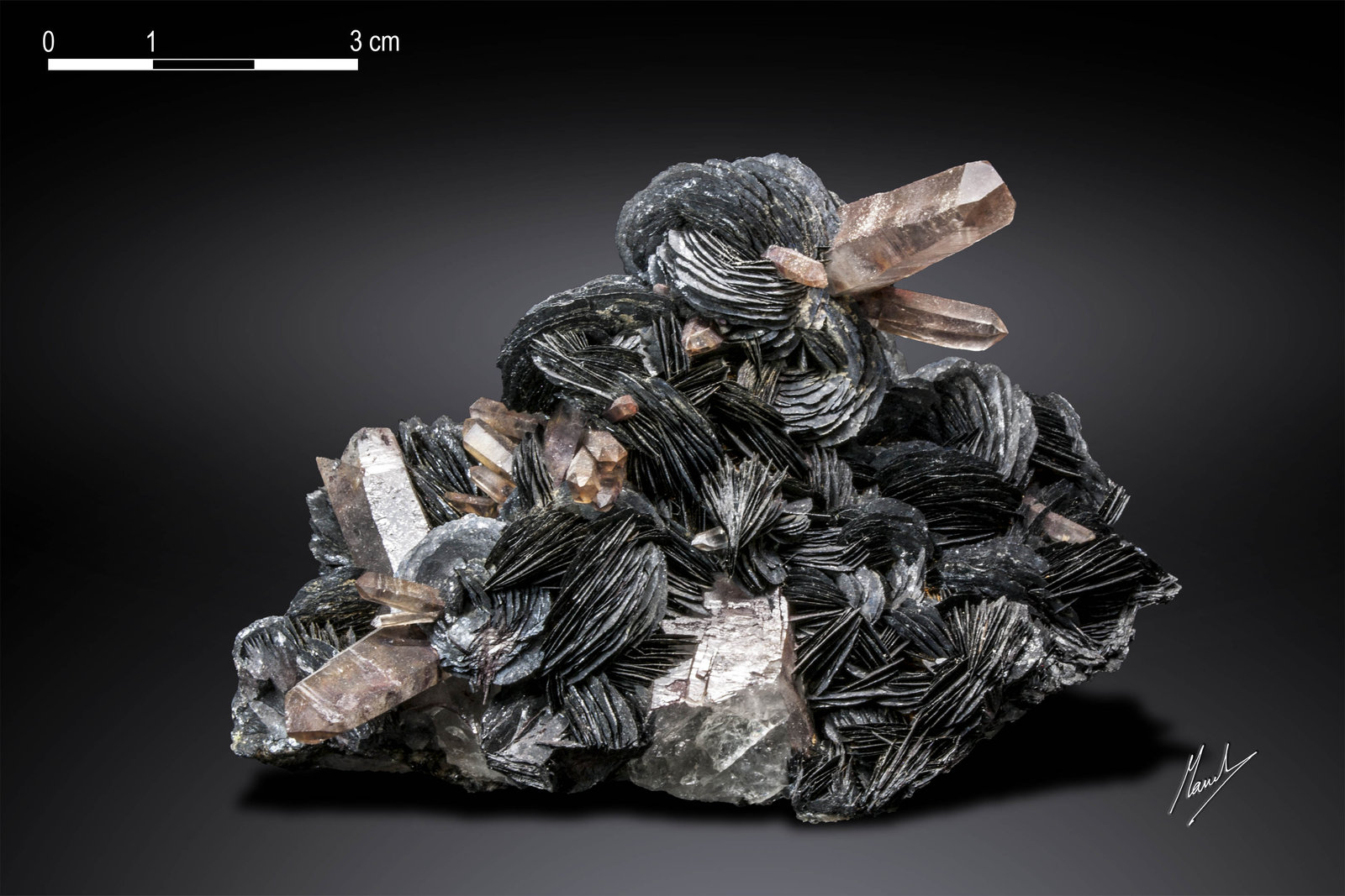 Hematite
92 X 70 mm
(Autor: Manuel Mesa)
