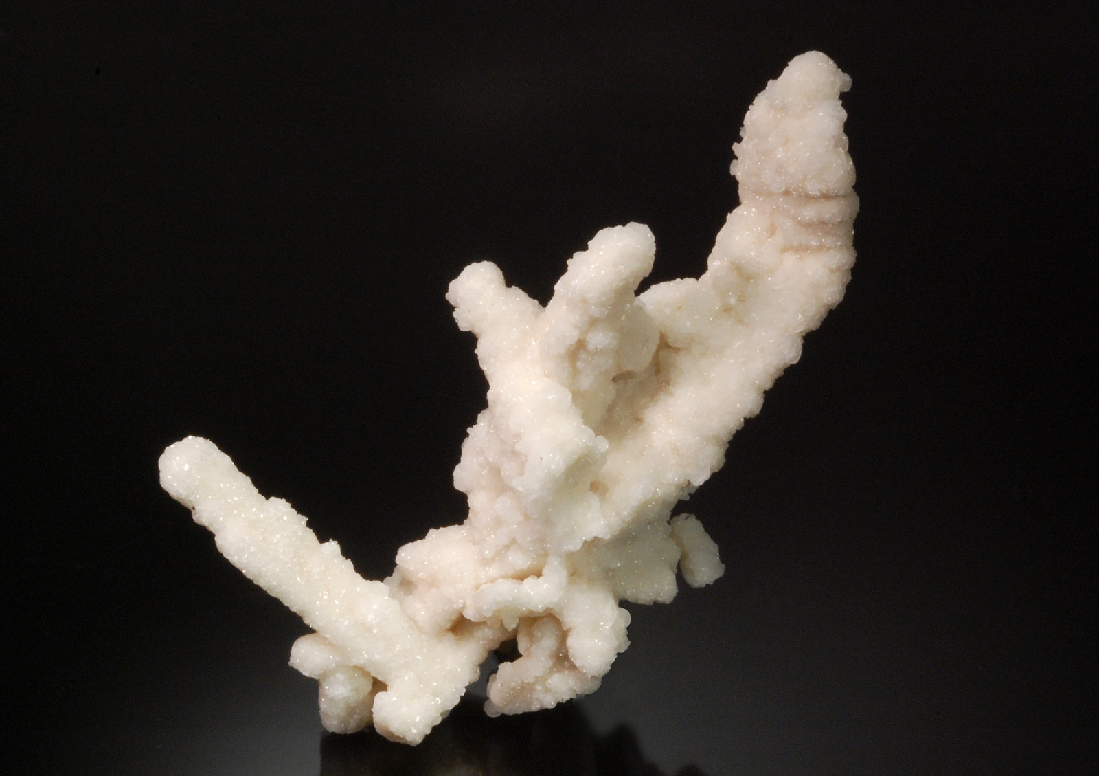Calcite
17.0 x 9.0 x 5.0 cm
(Autor: Michael Shaw)