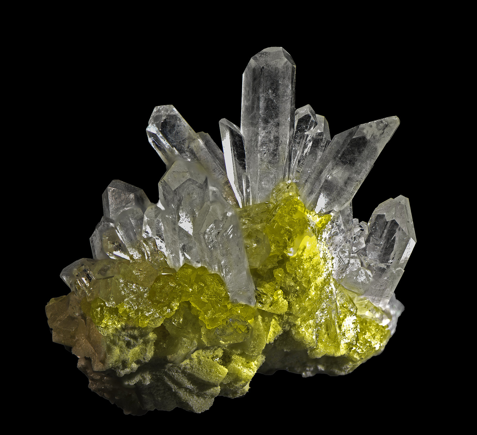 Celestine
40 x 35 x 30 mm
(Autor: Rob Schnerr)