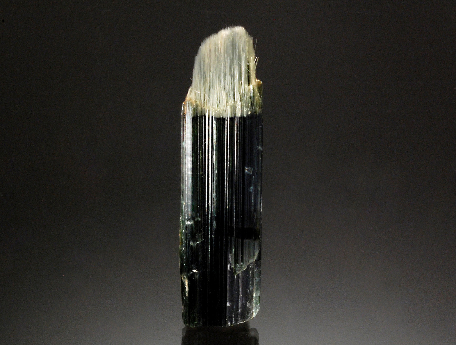 Actinolite
1.5 x 5.5 cm.
(Autor: Michael Shaw)