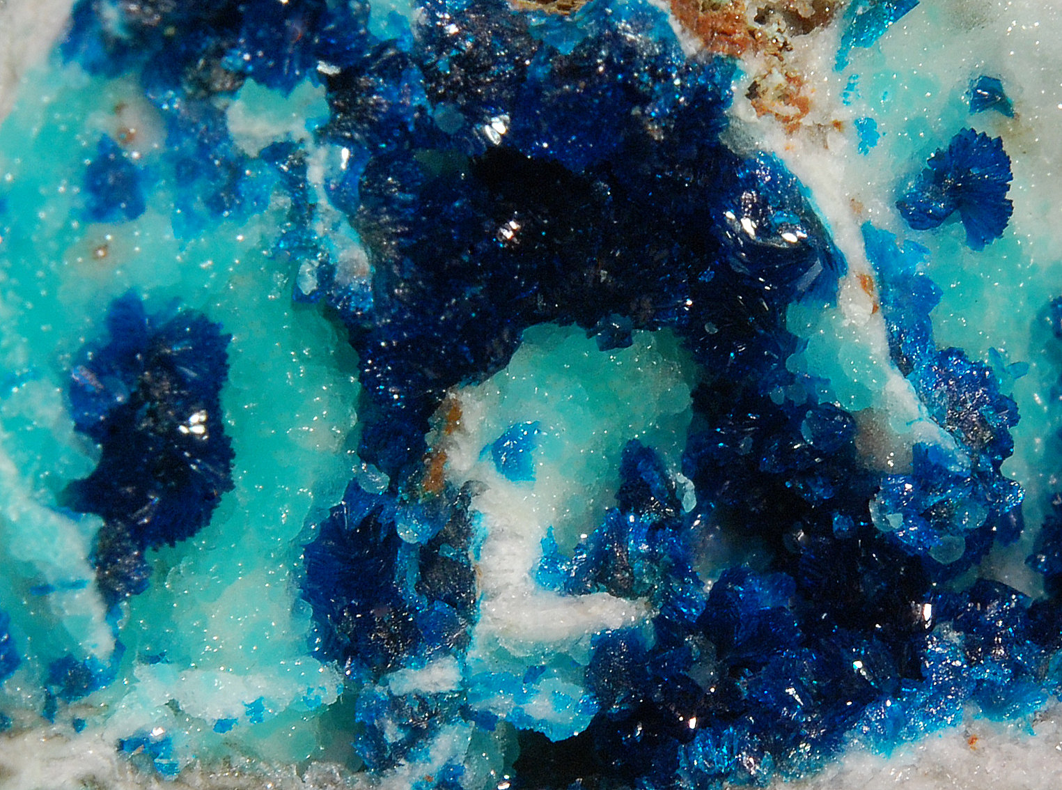 Veszelyite
FOV ~ 1.8 cm
(Autor: Michael Shaw)