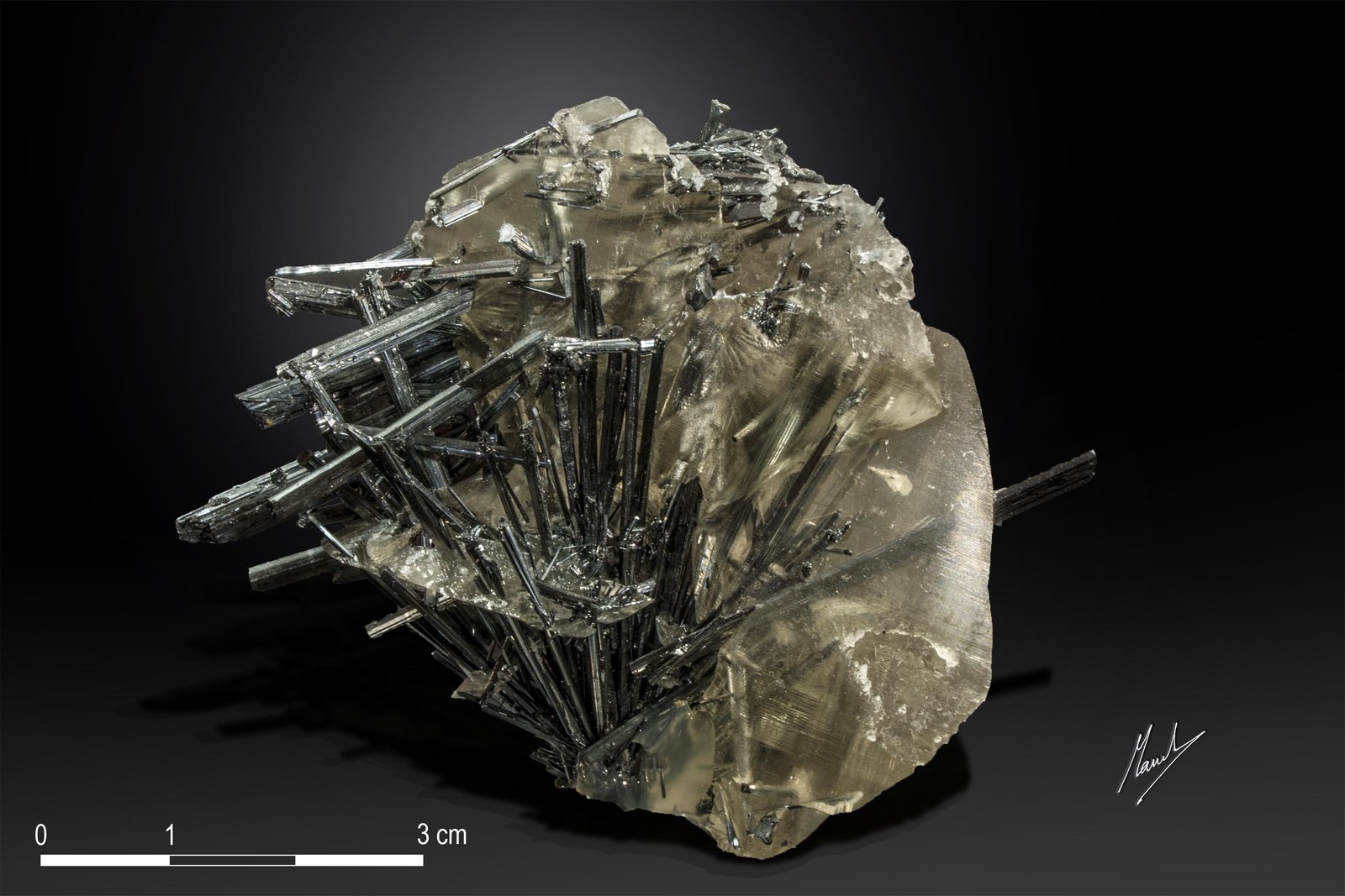 Stibnite and Calcit
65 X 54 mm
(Autor: Manuel Mesa)