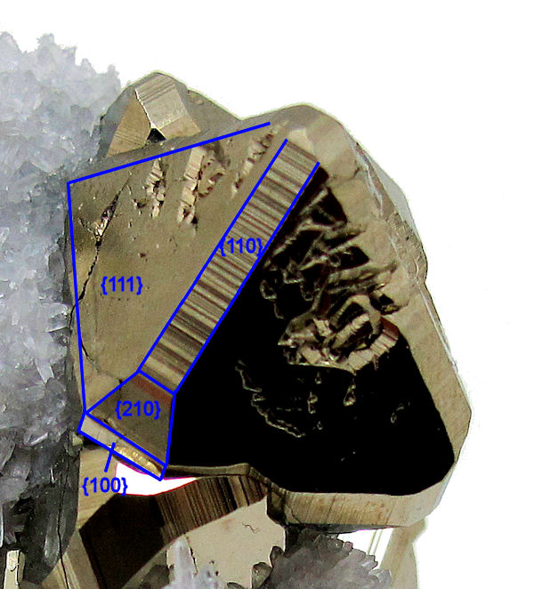 Pyrite, quartz
61 mm x 41 mm
(Autor: Carles Millan)
