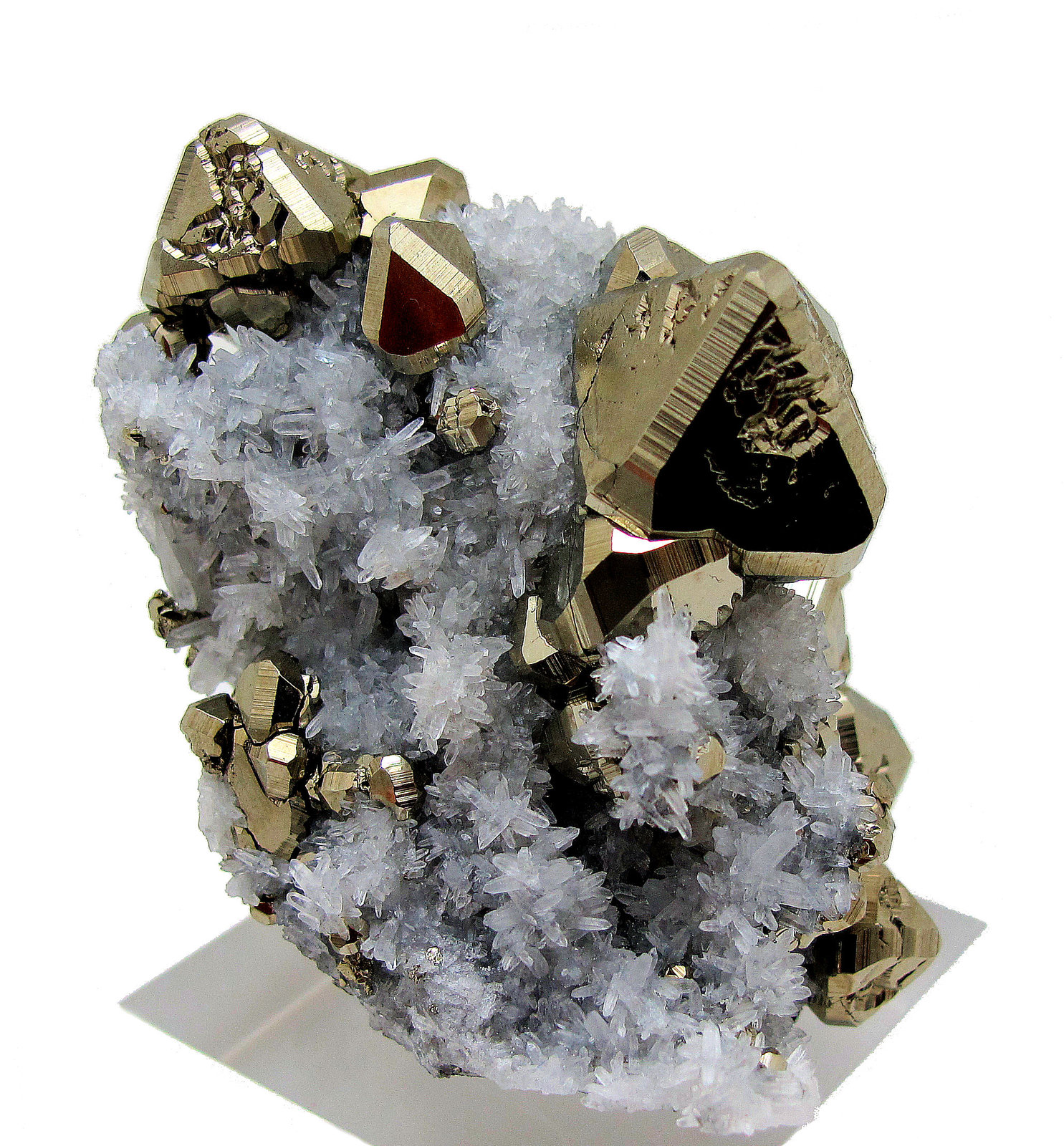Pyrite, quartz
61 mm x 41 mm
(Autor: Carles Millan)