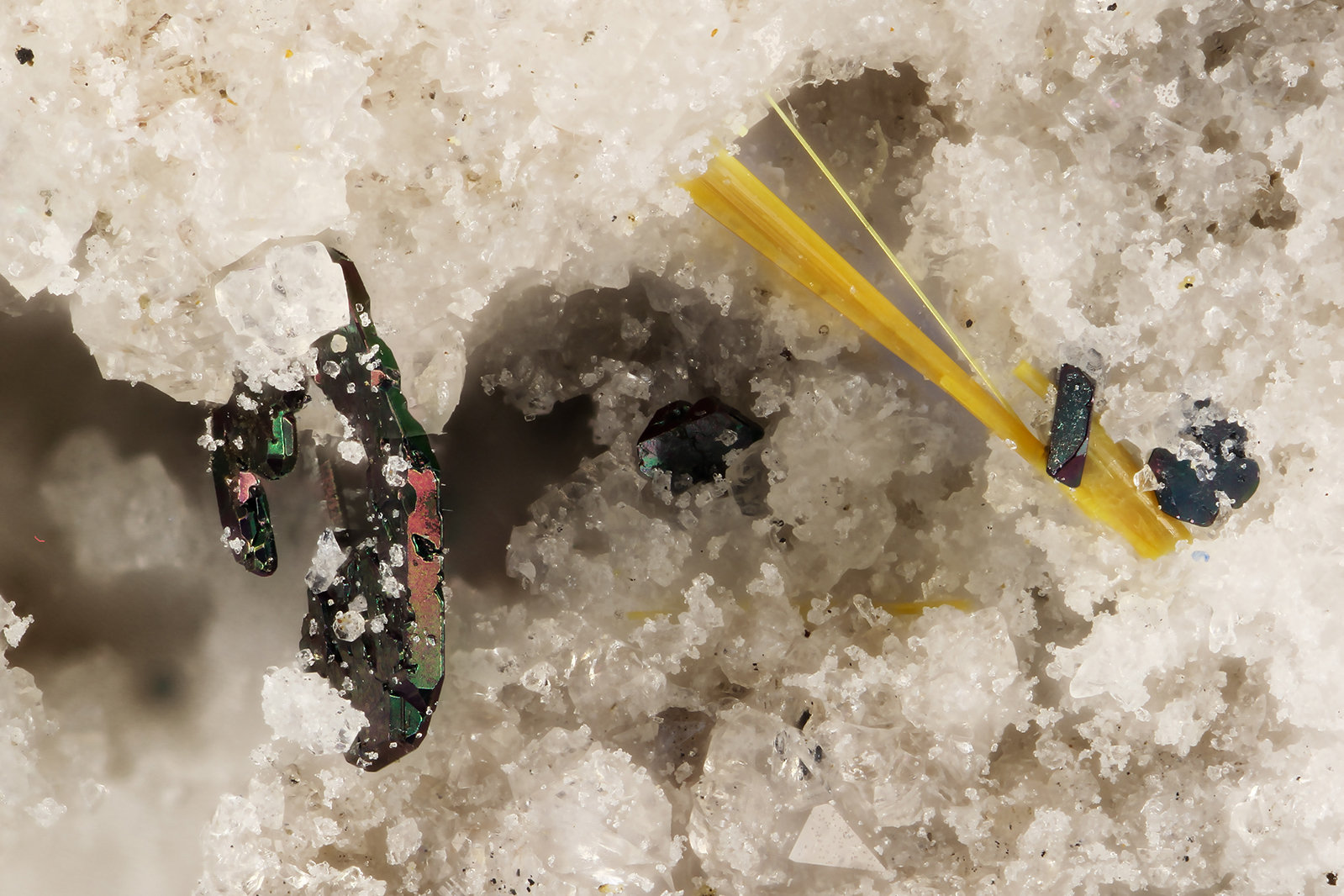 Holfertite
FOV = 2.9 mm
(Autor: Doug)