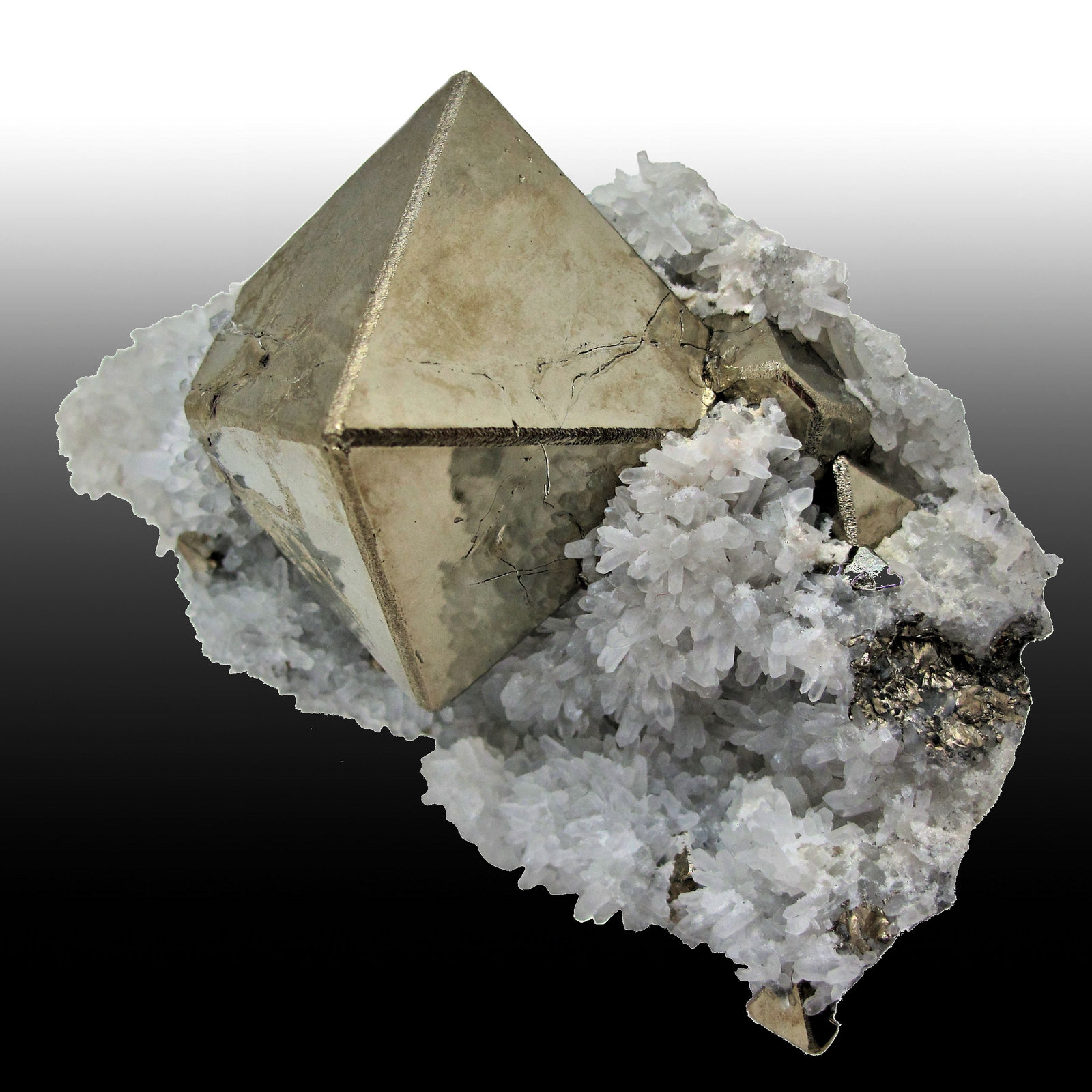 Pyrite, Quartz
102 x 70 x 40, largest crystal: 53 mm vertex to vertex, mass: 314 g.
(Autor: Carles Millan)