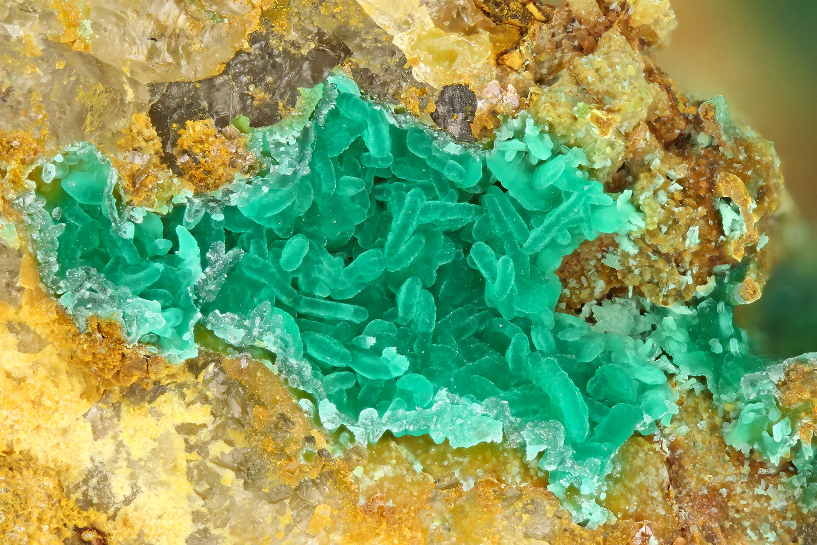 Cornwallite
FOV = 3.0 mm
(Autor: Doug)