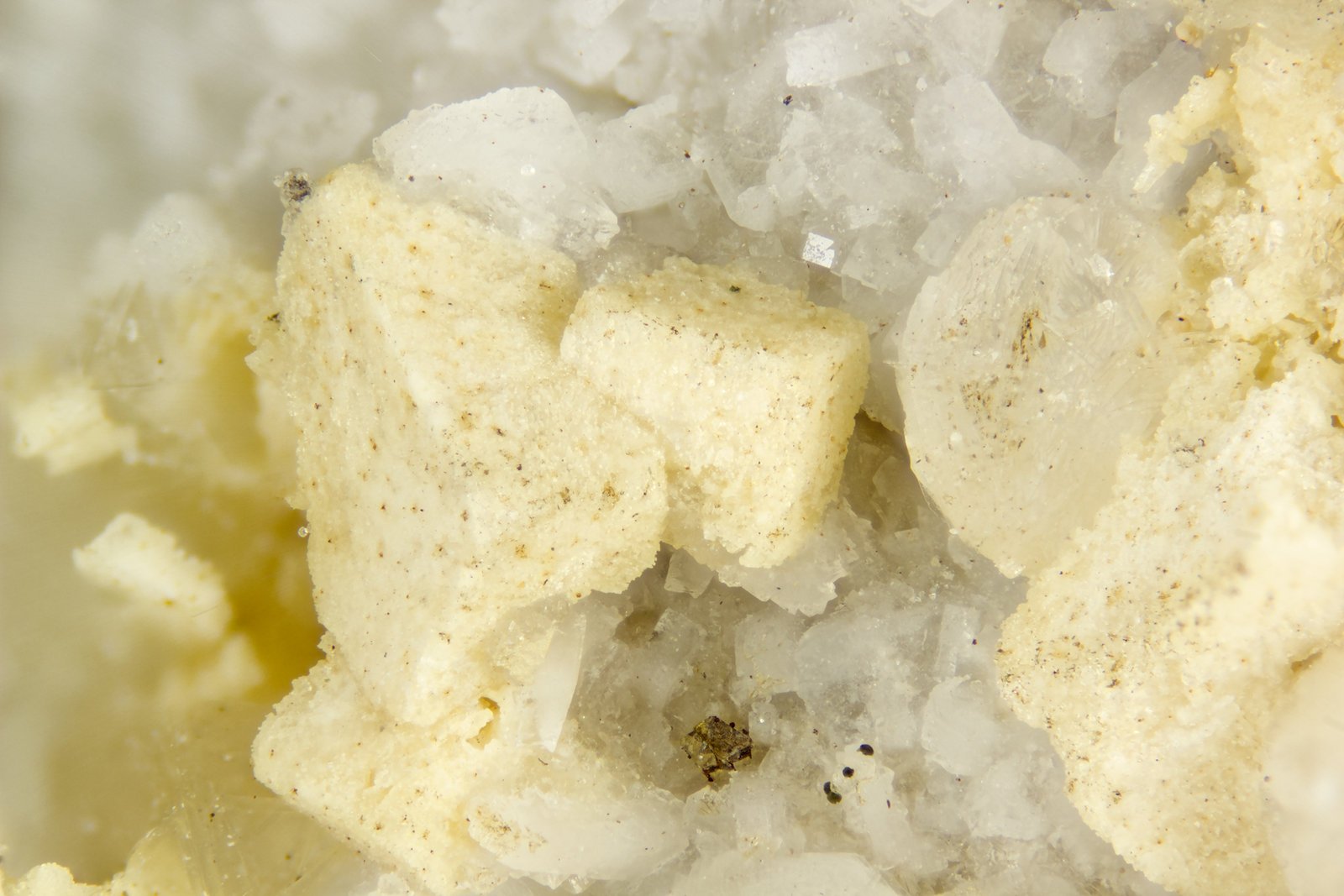 Magnestite
FOV = 4mm
(Autor: Doug)