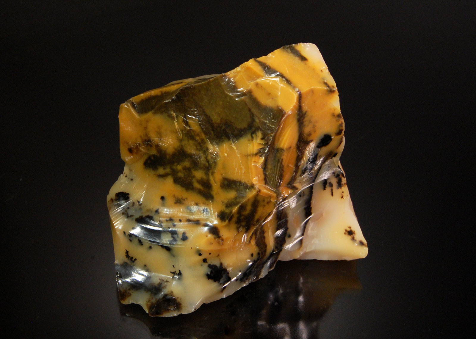Common Opal
6.8 x 6.1 x 3.2 cm
(Autor: Michael Shaw)