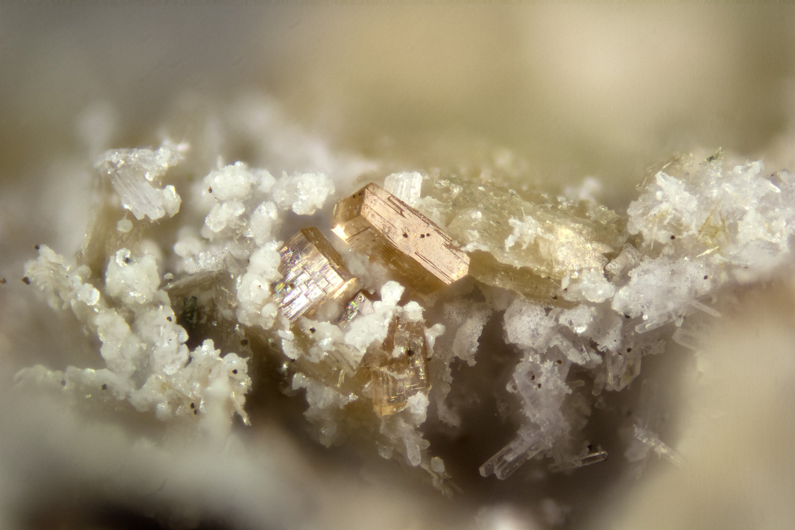 Nenadkevichite
FOV = 2mm
(Autor: Doug)