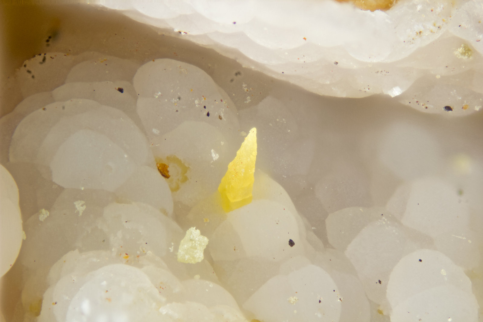 Wulfenite
FOV = 2mm
(Autor: Doug)
