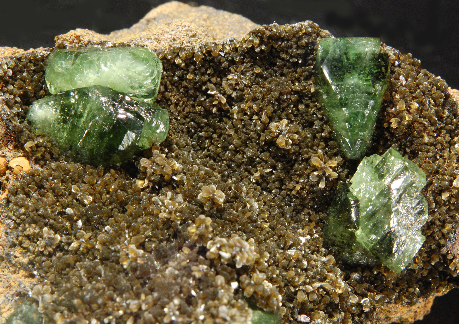 Ludlamite
5.2 x 2.7 x 2.2 cm
(Autor: Michael Shaw)