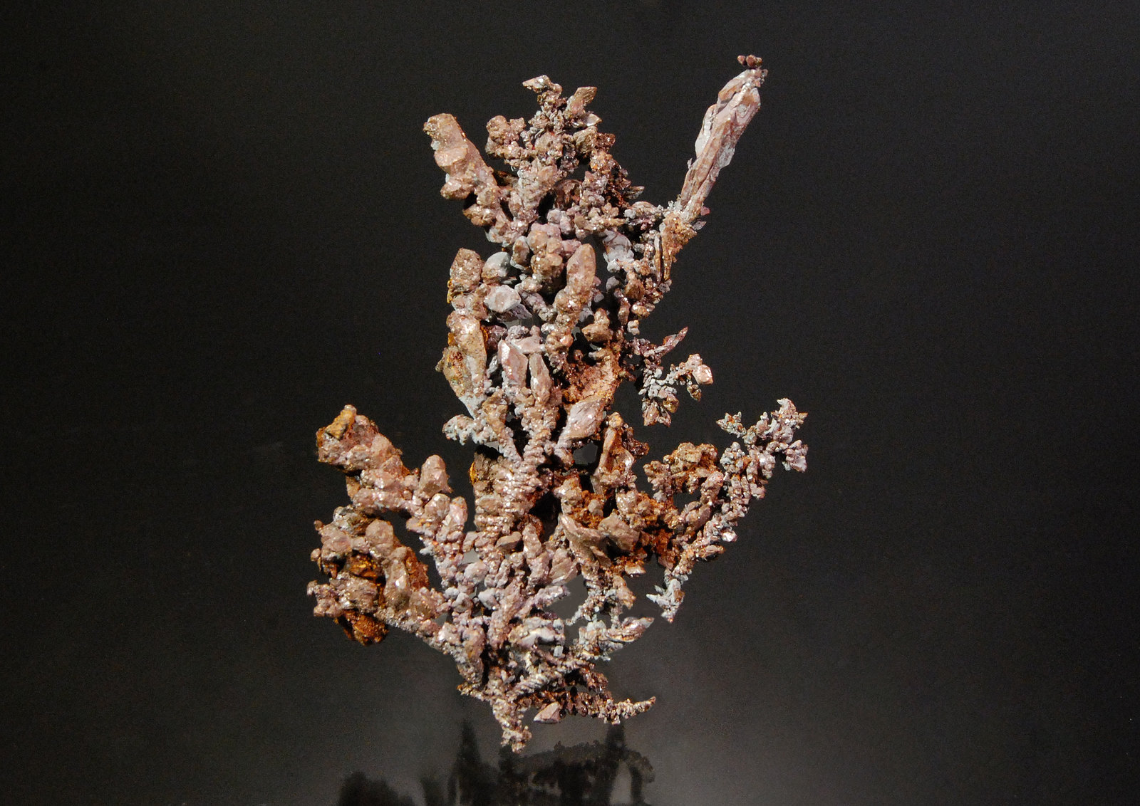 Copper
6.6 x 4.4 cm
(Autor: Michael Shaw)